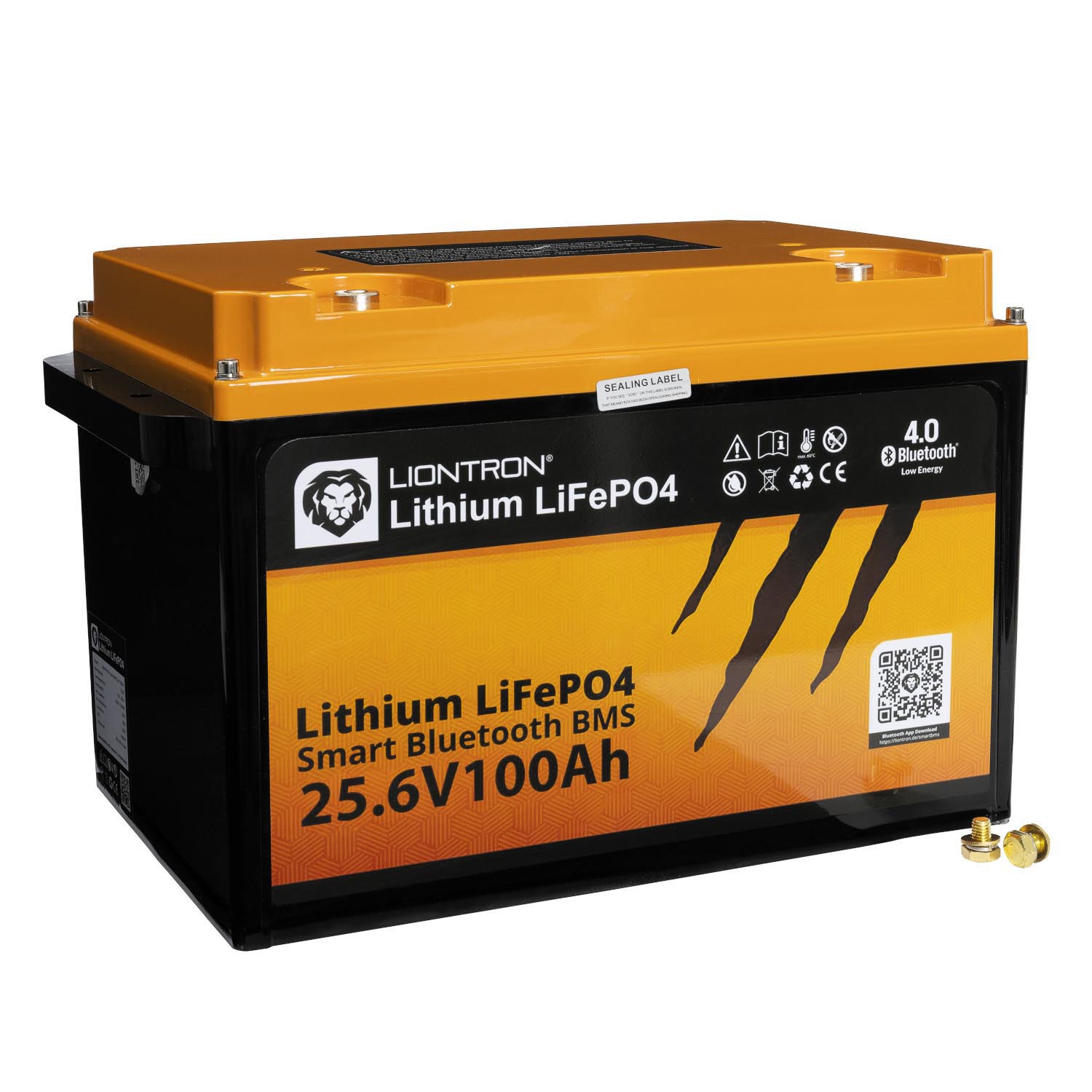 Liontron 100Ah 25,6V LiFePO4 Lithium Batterie BMS Bluetooth mit App Arctic und Marine